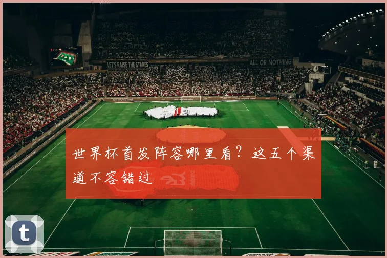 世界杯首发阵容哪里看？这五个渠道不容错过