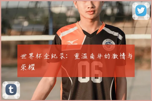 世界杯全纪录：重温南非的激情与荣耀