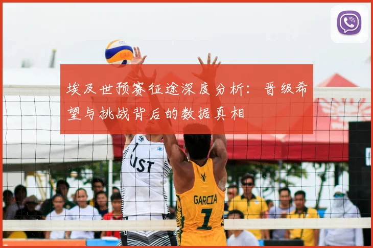 埃及世预赛征途深度分析：晋级希望与挑战背后的数据真相