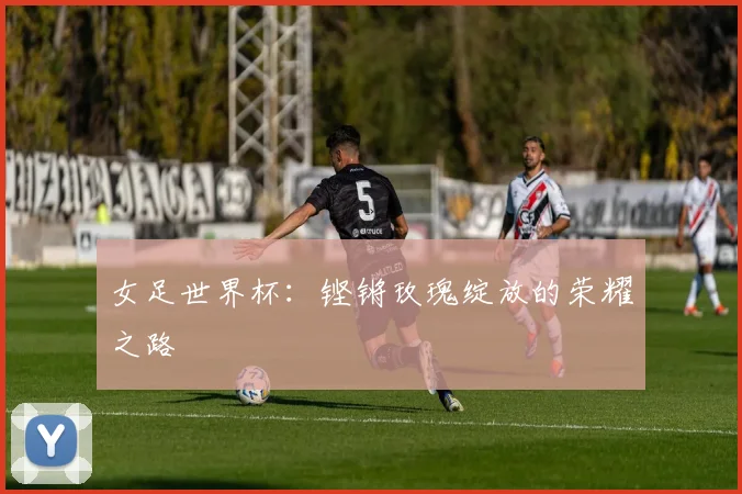 女足世界杯：铿锵玫瑰绽放的荣耀之路